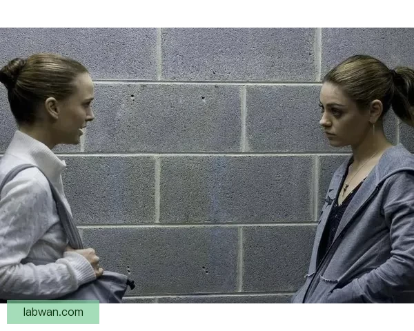 全集下载：追寻经典剧作的完整收藏与高清观看体验